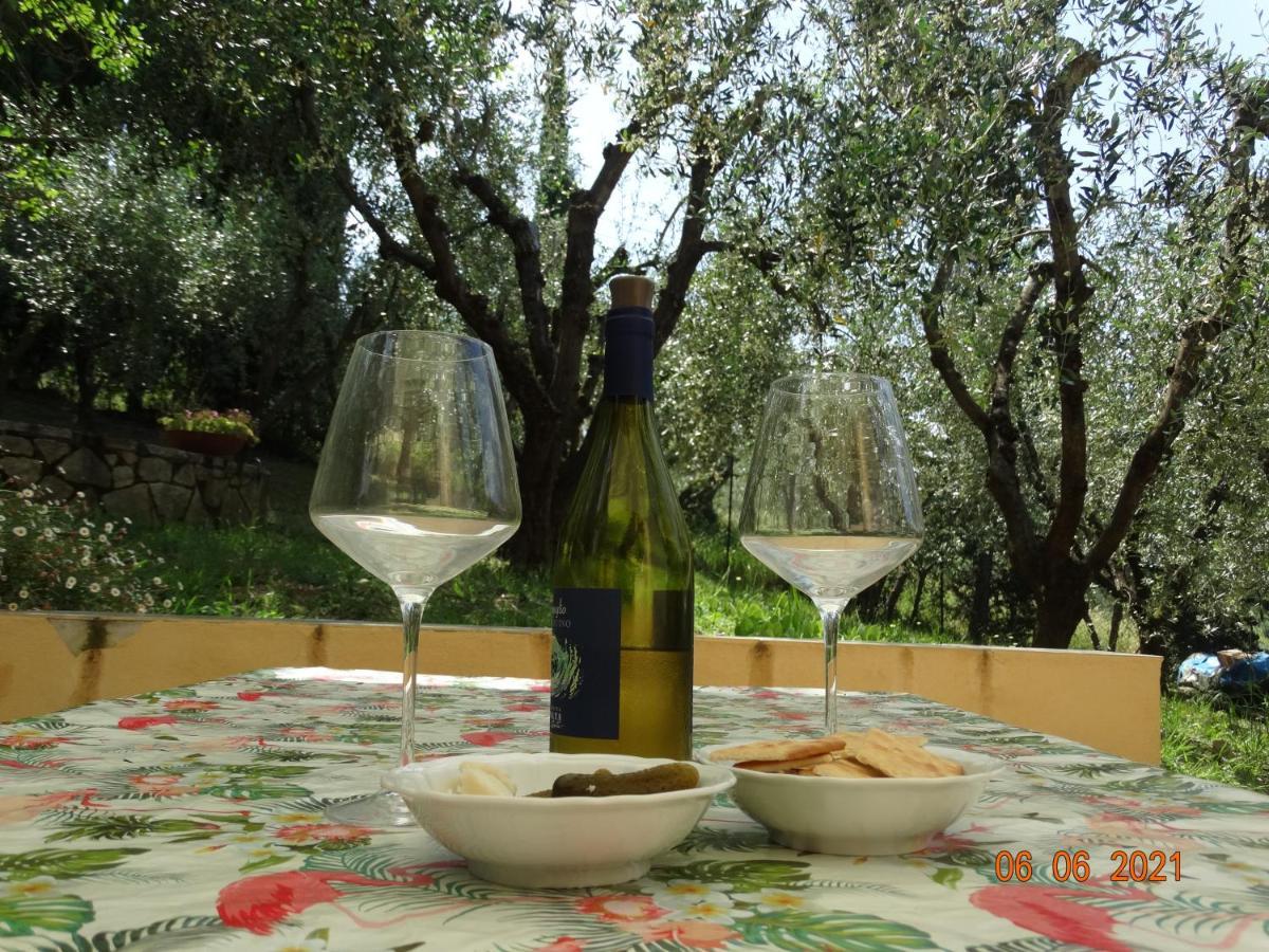Poggio House, Tranquillita E Comfort Nella Natura San Casciano in Val di Pesa Bagian luar foto