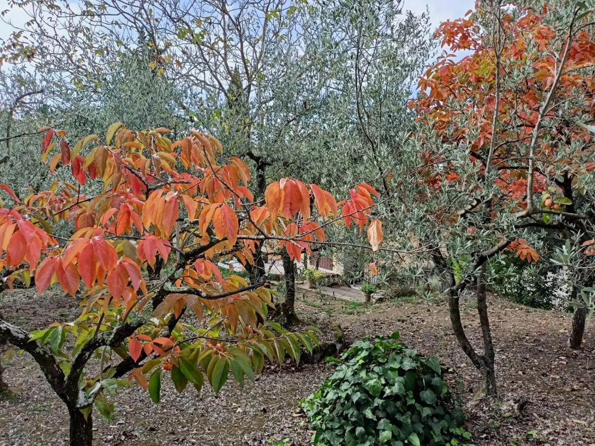 Poggio House, Tranquillita E Comfort Nella Natura San Casciano in Val di Pesa Bagian luar foto