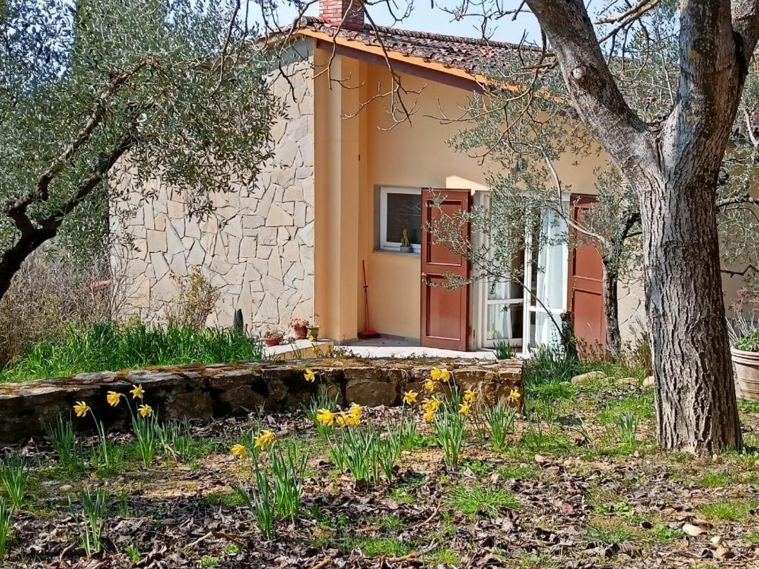 Poggio House, Tranquillita E Comfort Nella Natura San Casciano in Val di Pesa Bagian luar foto