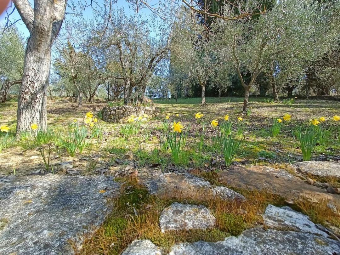 Poggio House, Tranquillita E Comfort Nella Natura San Casciano in Val di Pesa Bagian luar foto